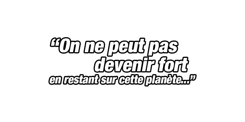 Vegeta (petit)