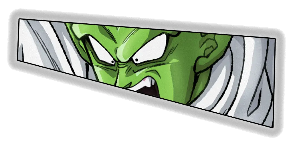 Piccolo Junior