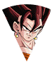 Vegetto