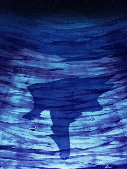 Son Gohan Super Saiyan (jeune) &
Son Goten Super Saiyan (petit)