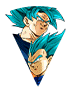Son Goku Super Saiyan divin SS &
Vegeta Super Saiyan divin SS