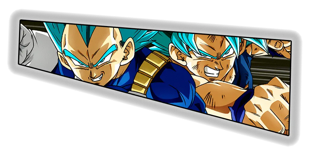 Son Goku Super Saiyan divin SS &
Vegeta Super Saiyan divin SS