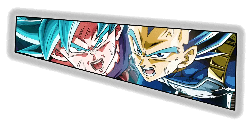 Son Goku Super Saiyan divin SS (Kaioken) 
& Vegeta Super Saiyan divin SS évolué