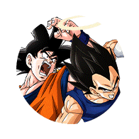 Son Goku & Vegeta (ange)