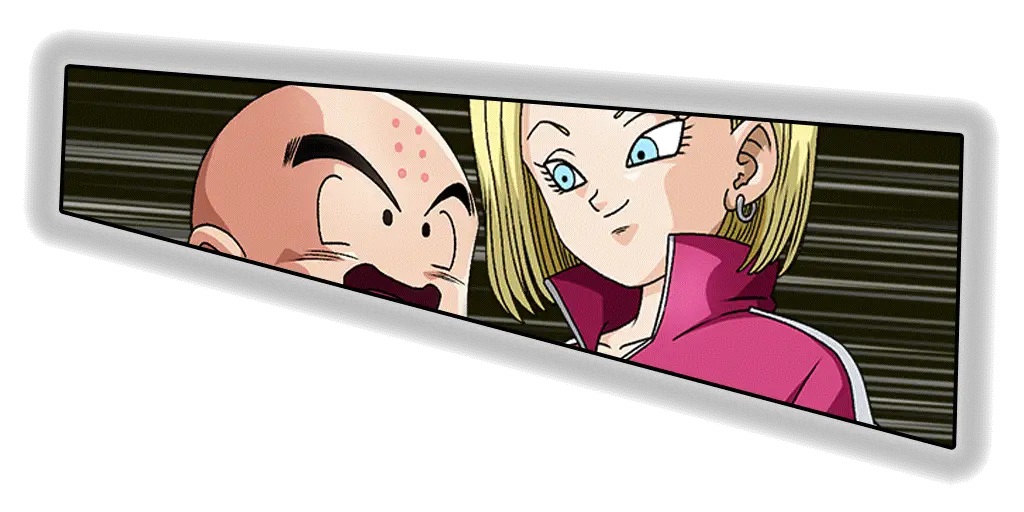 Krillin & C-18