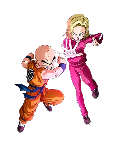 Krillin & C-18