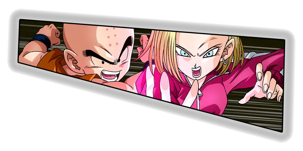 Krillin & C-18