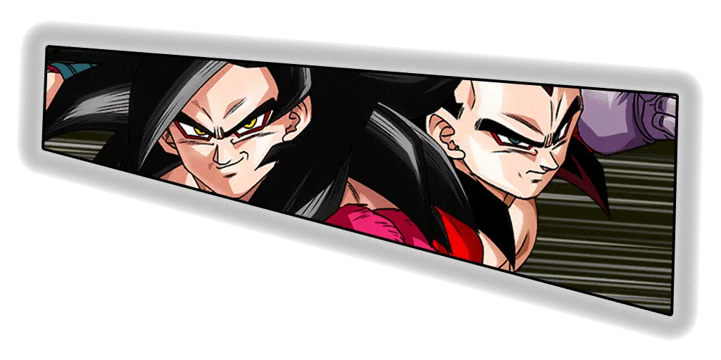 Son Goku Super Saiyan 4 & Vegeta Super Saiyan 4