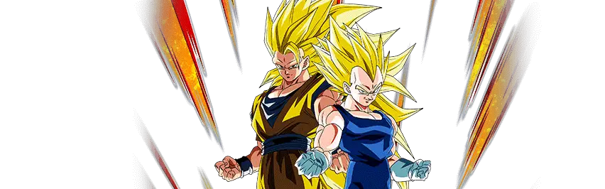 Son Goku Super Saiyan 3 & Vegeta Super Saiyan 2