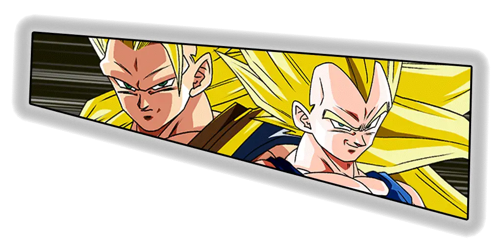 Son Goku Super Saiyan 3 & Vegeta Super Saiyan 2