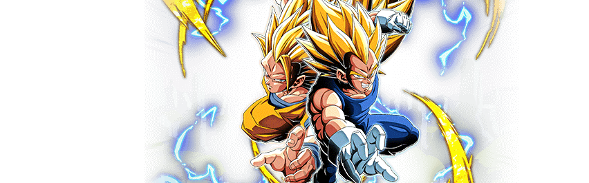Son Goku Super Saiyan 3 & Vegeta Super Saiyan 2