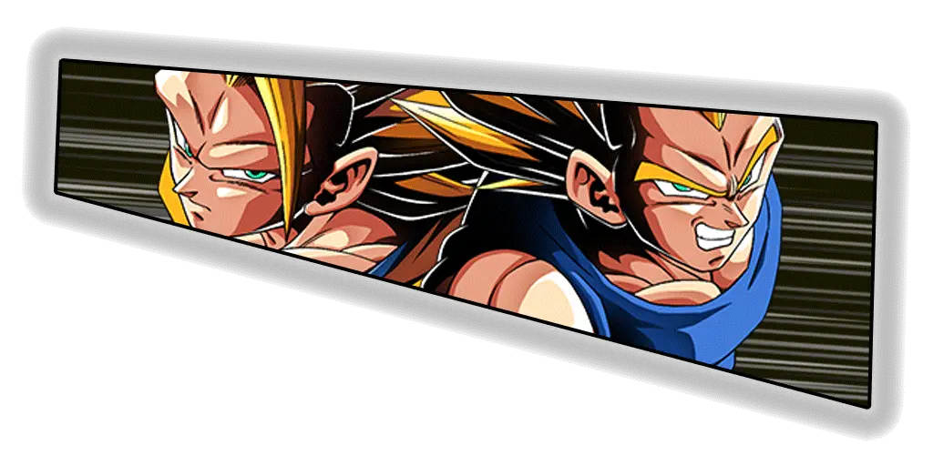 Son Goku Super Saiyan 3 & Vegeta Super Saiyan 2