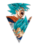 Son Goku Super Saiyan divin SS
& Vegeta Super Saiyan divin SS