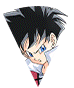 Videl