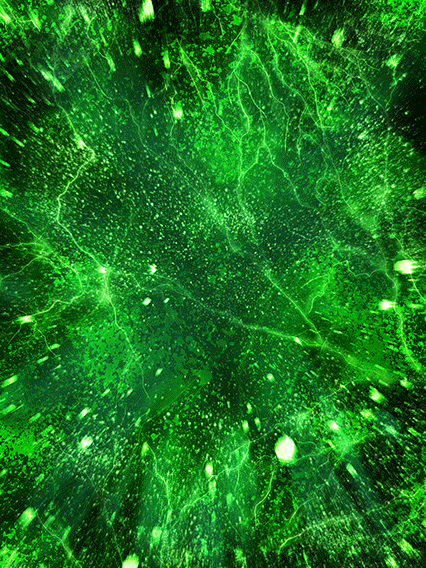 Tamagami Numéro Deux