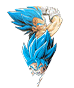 Son Goku Super Saiyan divin SS &
Vegeta Super Saiyan divin SS