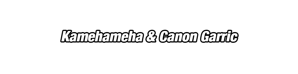 Son Goku Super Saiyan divin SS &
Vegeta Super Saiyan divin SS