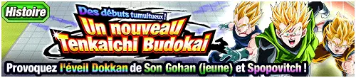 Des débuts tumultueux ! 
Un nouveau Tenkaichi Budokai