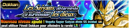 Les Saiyans déterminés à surpasser les dieux