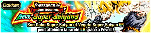 Puissance de l'anéantissement ! 
Deux Super Saiyans