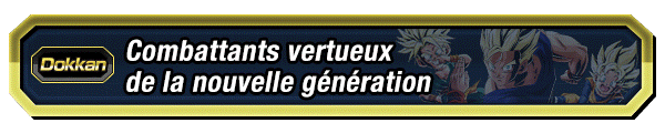 Combattants vertueux de la nouvelle génération