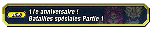 11e anniversaire ! Batailles spéciales Partie 1