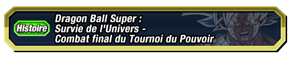 Combat final du Tournoi du Pouvoir