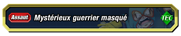 Mystérieux guerrier masqué
