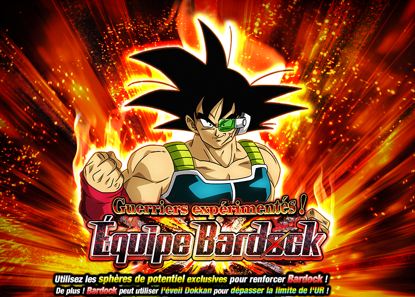 Guerriers expérimentés ! Équipe Bardock