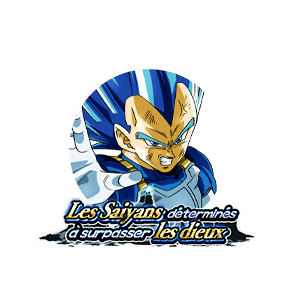 Vegeta Super Saiyan divin SS évolué