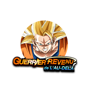 Son Goku Super Saiyan 3 (ange)