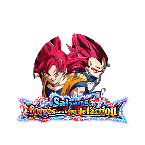 Son Goku Super Saiyan divin & Vegeta Super Saiyan divin