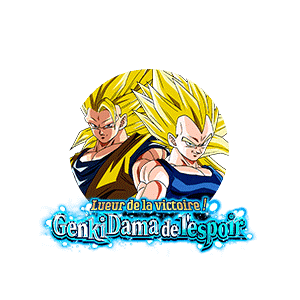 Son Goku Super Saiyan 3 & Vegeta Super Saiyan 2